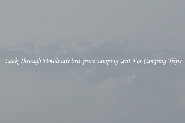 Look Through Wholesale low price camping tent For Camping Trips