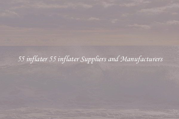55 inflater 55 inflater Suppliers and Manufacturers