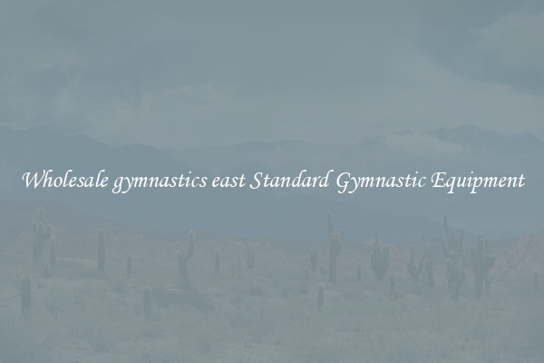 Wholesale gymnastics east Standard Gymnastic Equipment