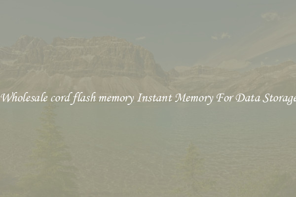 Wholesale cord flash memory Instant Memory For Data Storage