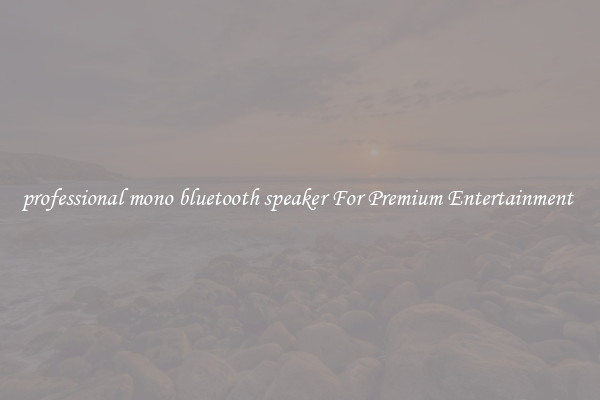 professional mono bluetooth speaker For Premium Entertainment 