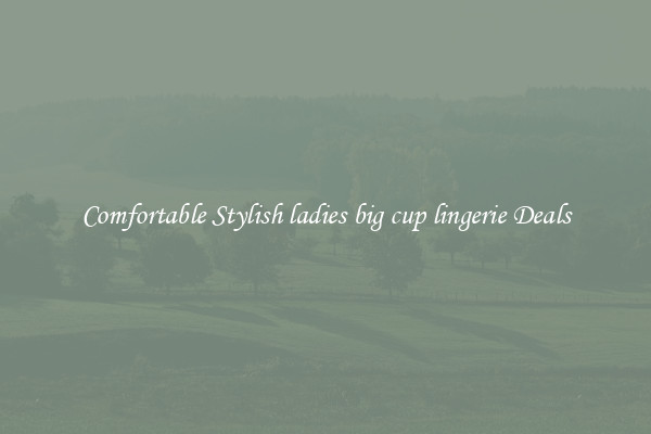 Comfortable Stylish ladies big cup lingerie Deals