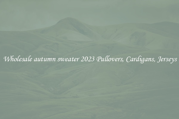 Wholesale autumn sweater 2023 Pullovers, Cardigans, Jerseys