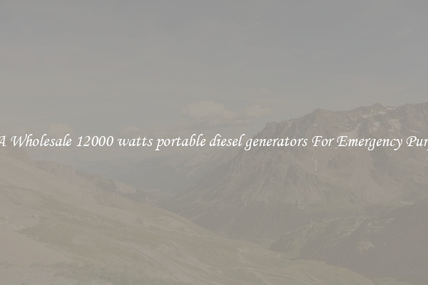 Get A Wholesale 12000 watts portable diesel generators For Emergency Purposes