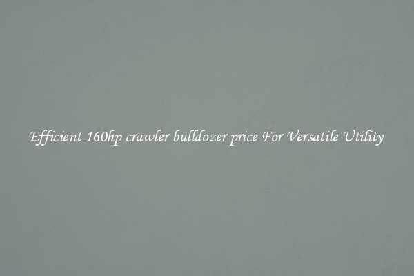 Efficient 160hp crawler bulldozer price For Versatile Utility 