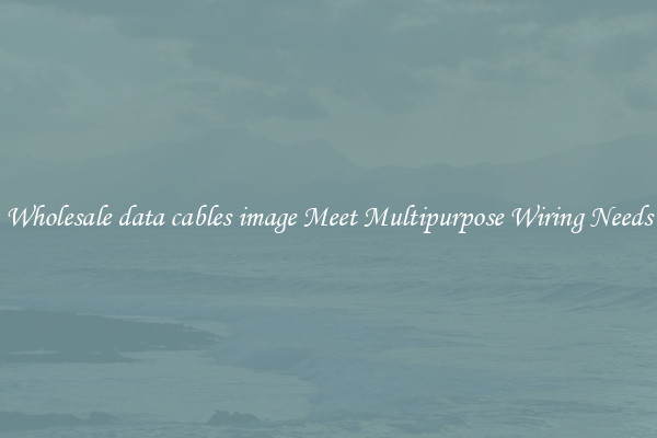 Wholesale data cables image Meet Multipurpose Wiring Needs