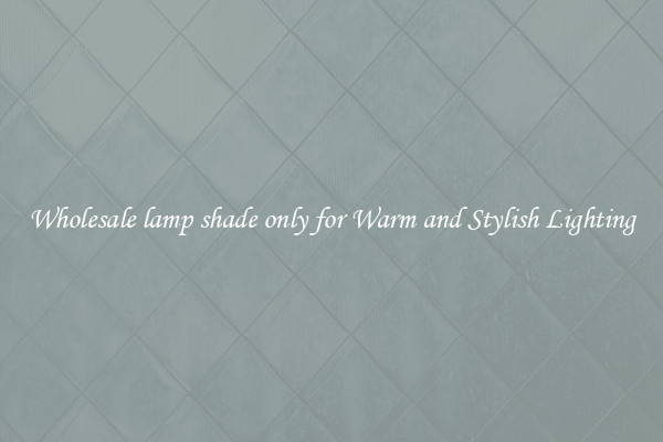 Wholesale lamp shade only for Warm and Stylish Lighting