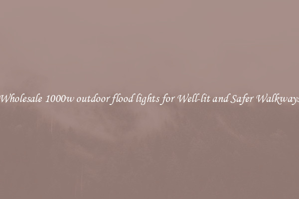 Wholesale 1000w outdoor flood lights for Well-lit and Safer Walkways
