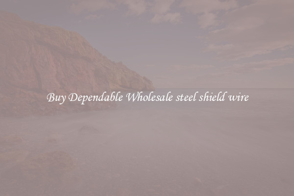 Buy Dependable Wholesale steel shield wire