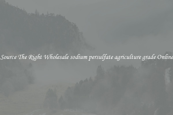 Source The Right Wholesale sodium persulfate agriculture grade Online