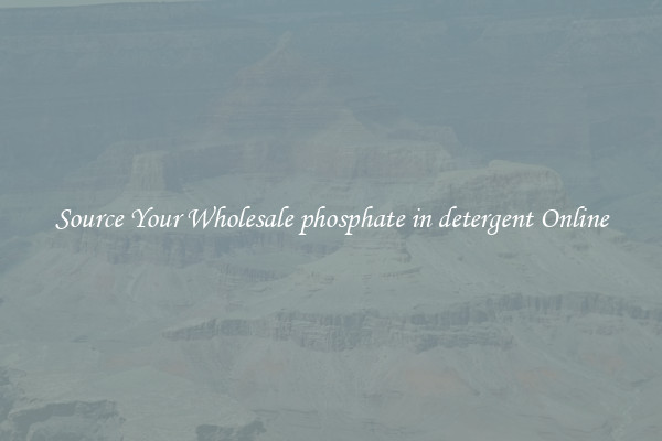 Source Your Wholesale phosphate in detergent Online