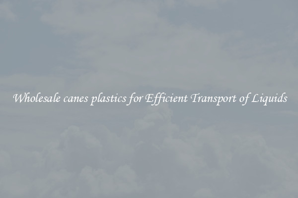 Wholesale canes plastics for Efficient Transport of Liquids