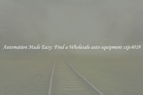  Automation Made Easy: Find a Wholesale auto equipment sxjs4019 