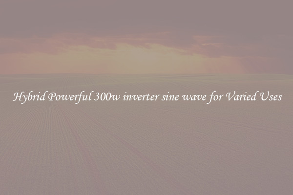 Hybrid Powerful 300w inverter sine wave for Varied Uses