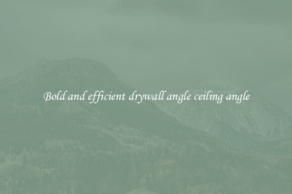 Bold and efficient drywall angle ceiling angle