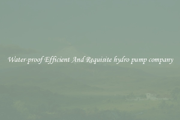 Water-proof Efficient And Requisite hydro pump company