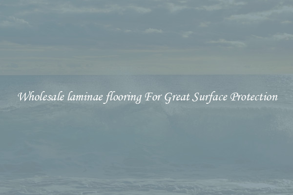 Wholesale laminae flooring For Great Surface Protection