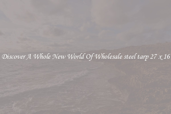 Discover A Whole New World Of Wholesale steel tarp 27 x 16