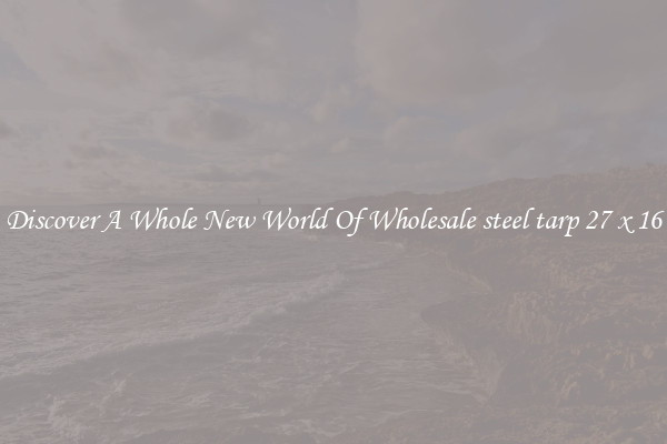 Discover A Whole New World Of Wholesale steel tarp 27 x 16