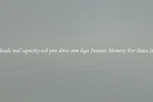 Wholesale real capacity usb pen drive oem logo Instant Memory For Data Storage