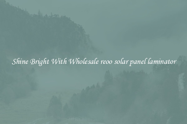 Shine Bright With Wholesale reoo solar panel laminator