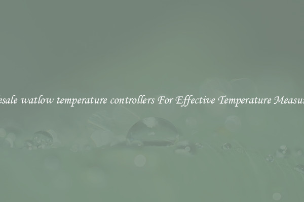Wholesale watlow temperature controllers For Effective Temperature Measurement