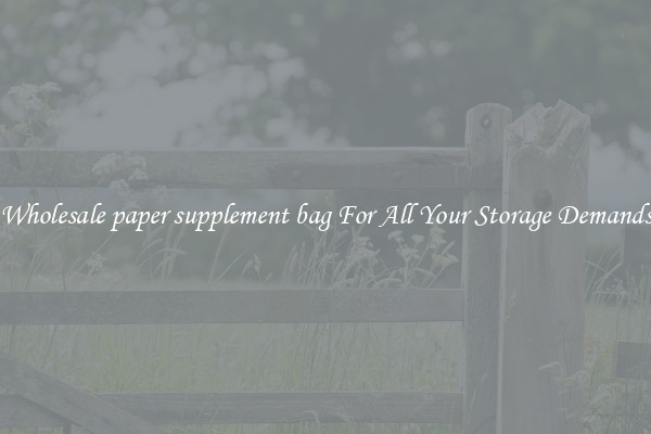 Wholesale paper supplement bag For All Your Storage Demands