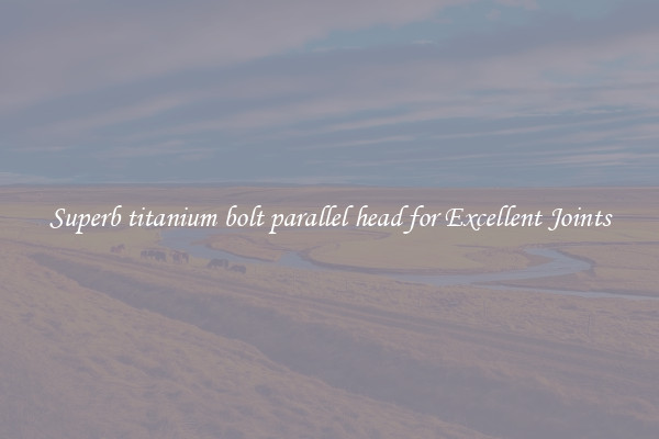 Superb titanium bolt parallel head for Excellent Joints