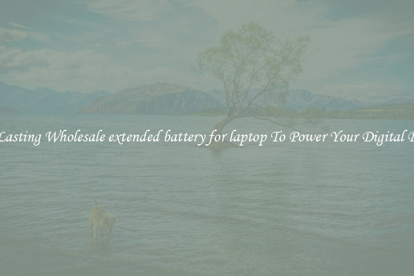 Long Lasting Wholesale extended battery for laptop To Power Your Digital Devices