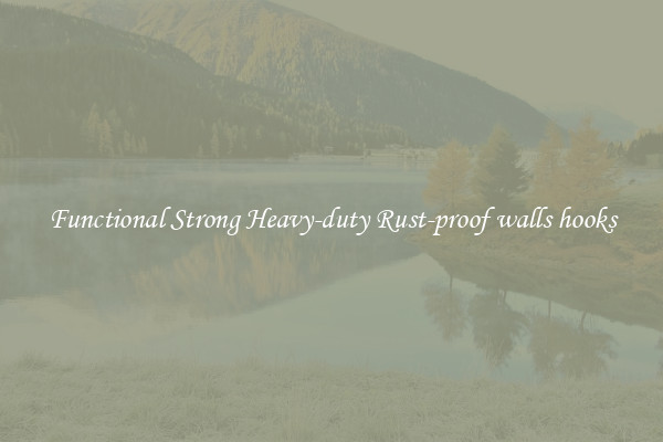 Functional Strong Heavy-duty Rust-proof walls hooks